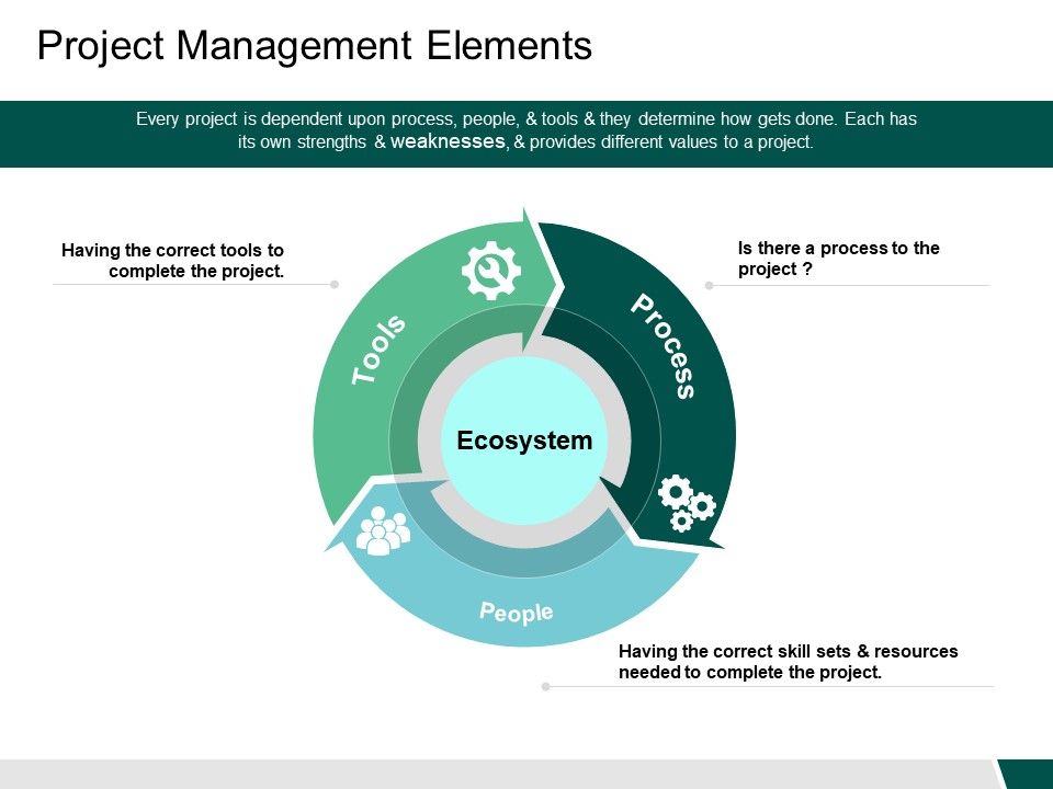 Project_Management_Elements_Ecosystem_Ppt_PowerPoint_Presentation_Gallery_Microsoft_Slide_1.jpg