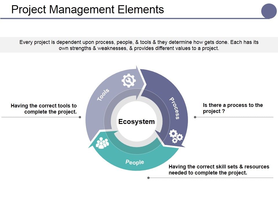 Project_Management_Elements_Ppt_PowerPoint_Presentation_Layouts_Design_Ideas_Slide_1.jpg