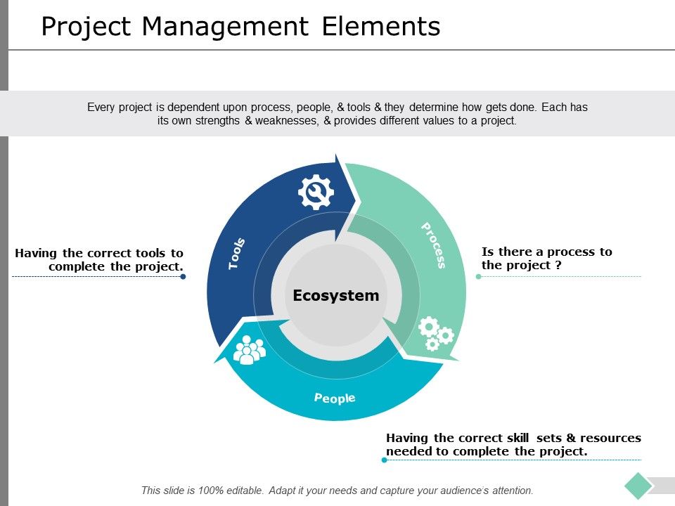 Project_Management_Elements_Ppt_PowerPoint_Presentation_Layouts_Format_Ideas_Slide_1.jpg