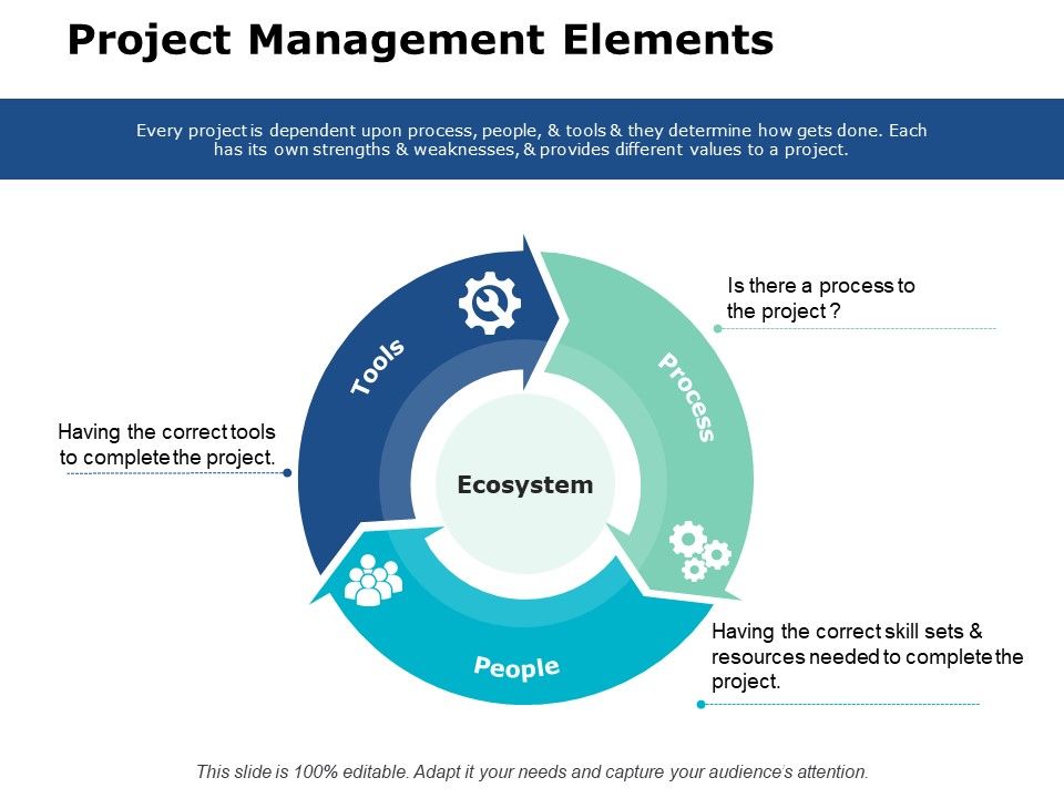 Project_Management_Elements_Ppt_PowerPoint_Presentation_Pictures_Example_Slide_1.jpg
