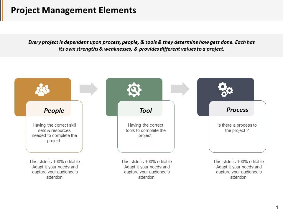 Project_Management_Elements_Ppt_PowerPoint_Presentation_Portfolio_Icons_Slide_1.jpg