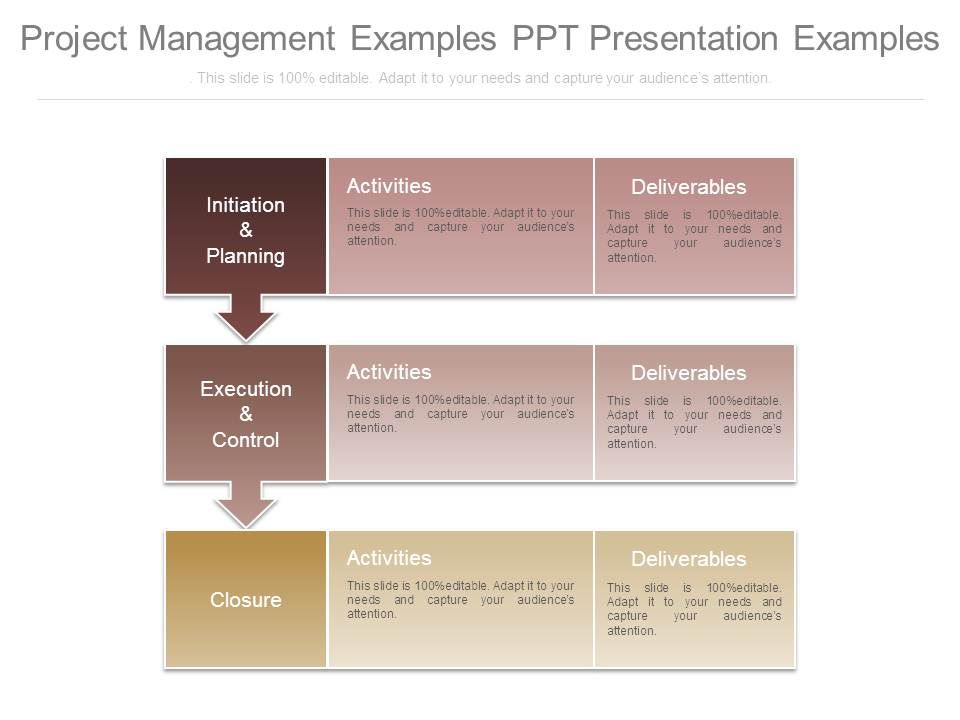 Project_Management_Examples_Ppt_Presentation_Examples_1.jpg