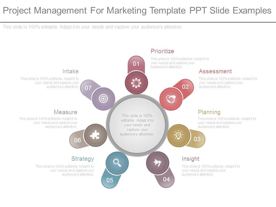 Project_Management_For_Marketing_Template_Ppt_Slide_Examples_1.jpg