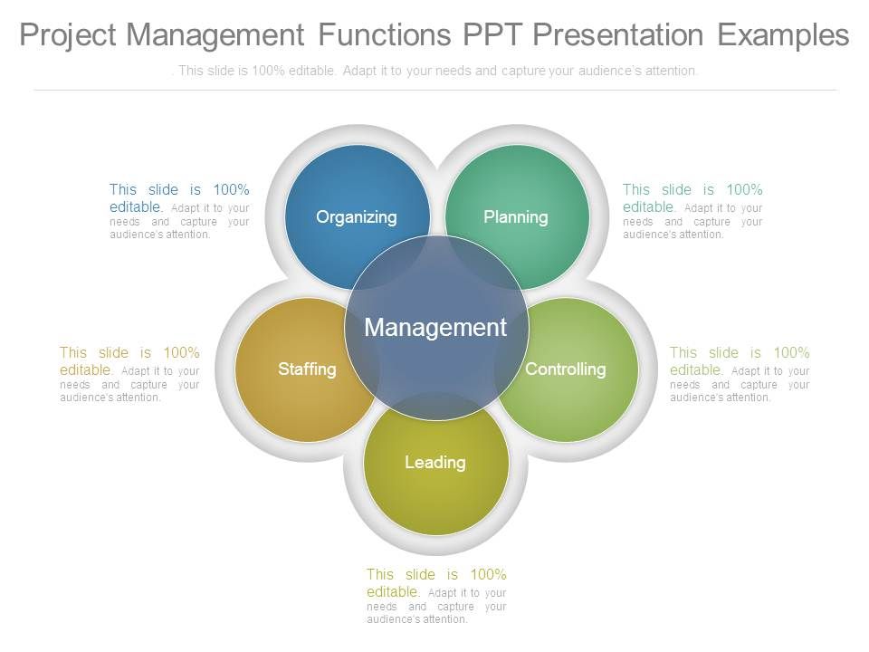 Project_Management_Functions_Ppt_Presentation_Examples_1.jpg