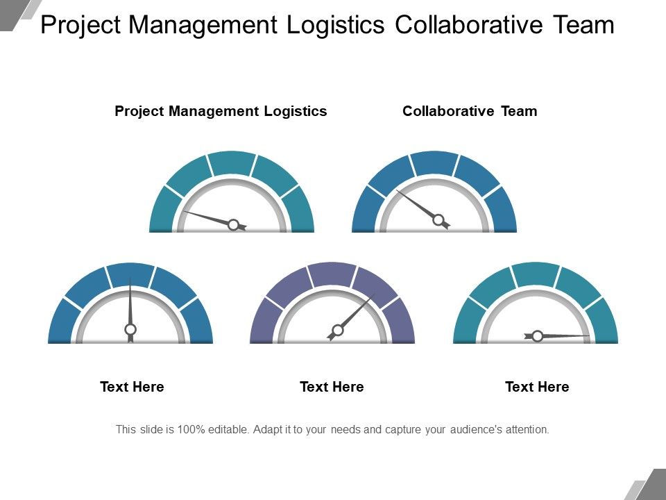 Project_Management_Logistics_Collaborative_Team_Ppt_PowerPoint_Presentation_Professional_Graphics_Pictures_Slide_1.jpg