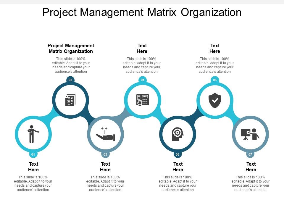 Project_Management_Matrix_Organization_Ppt_PowerPoint_Presentation_Outline_Diagrams_Cpb_Slide_1.jpg