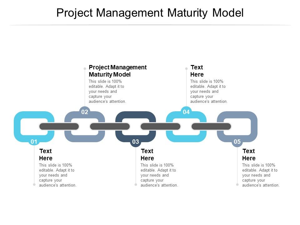 Project_Management_Maturity_Model_Ppt_PowerPoint_Presentation_File_Graphic_Images_Cpb_Pdf_Slide_1.jpg