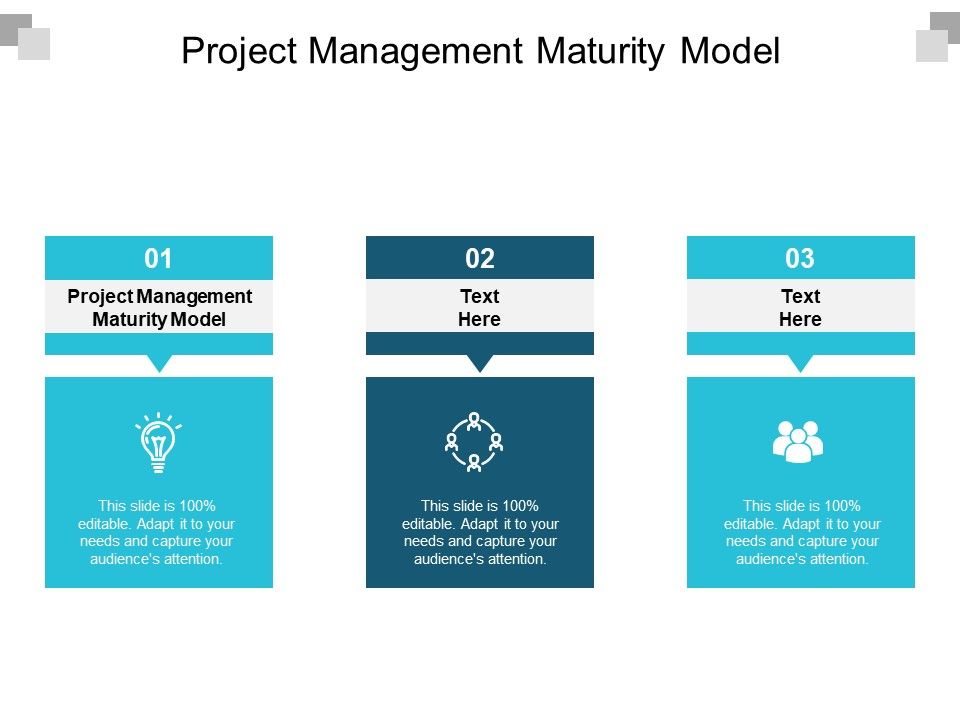 Project_Management_Maturity_Model_Ppt_PowerPoint_Presentation_Slides_Visuals_Cpb_Slide_1.jpg