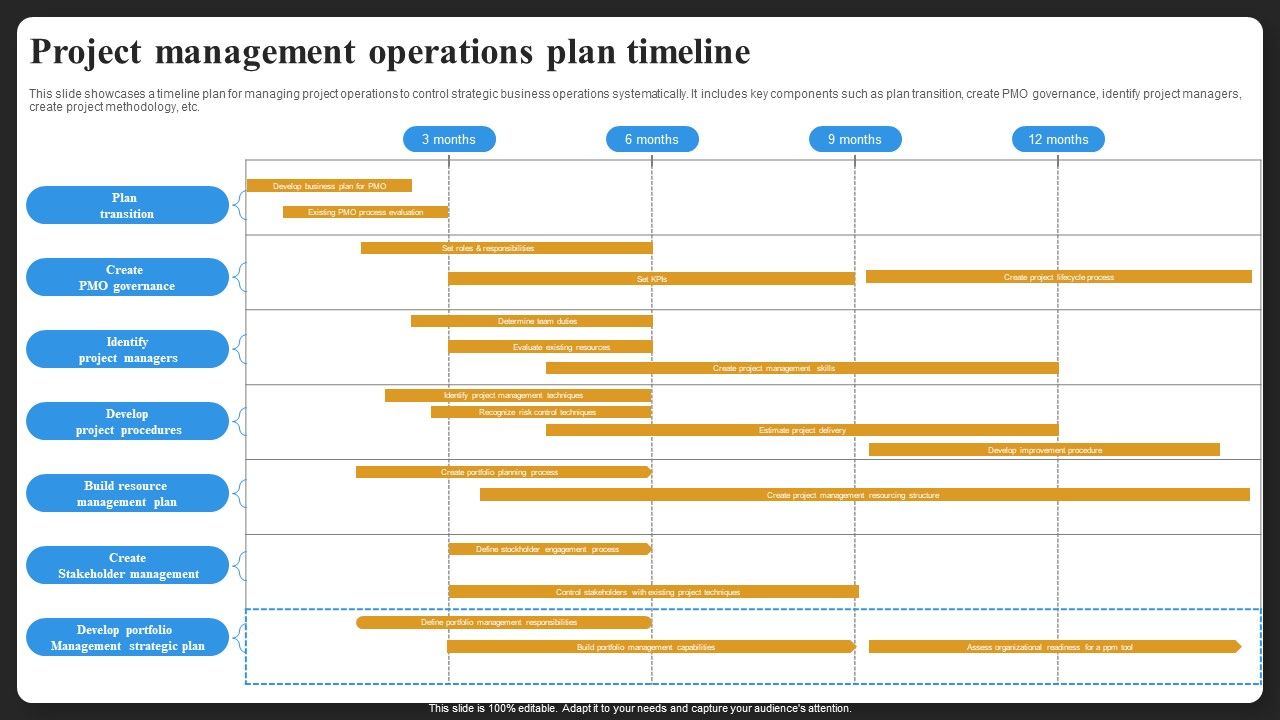 Project_Management_Operations_Plan_Timeline_Brochure_PDF_Slide_1.jpg