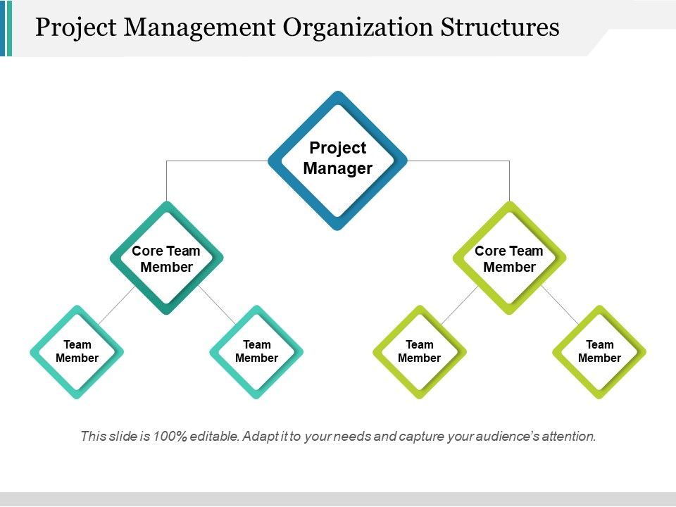 Project_Management_Organization_Structures_Ppt_PowerPoint_Presentation_File_Slides_Slide_1.jpg