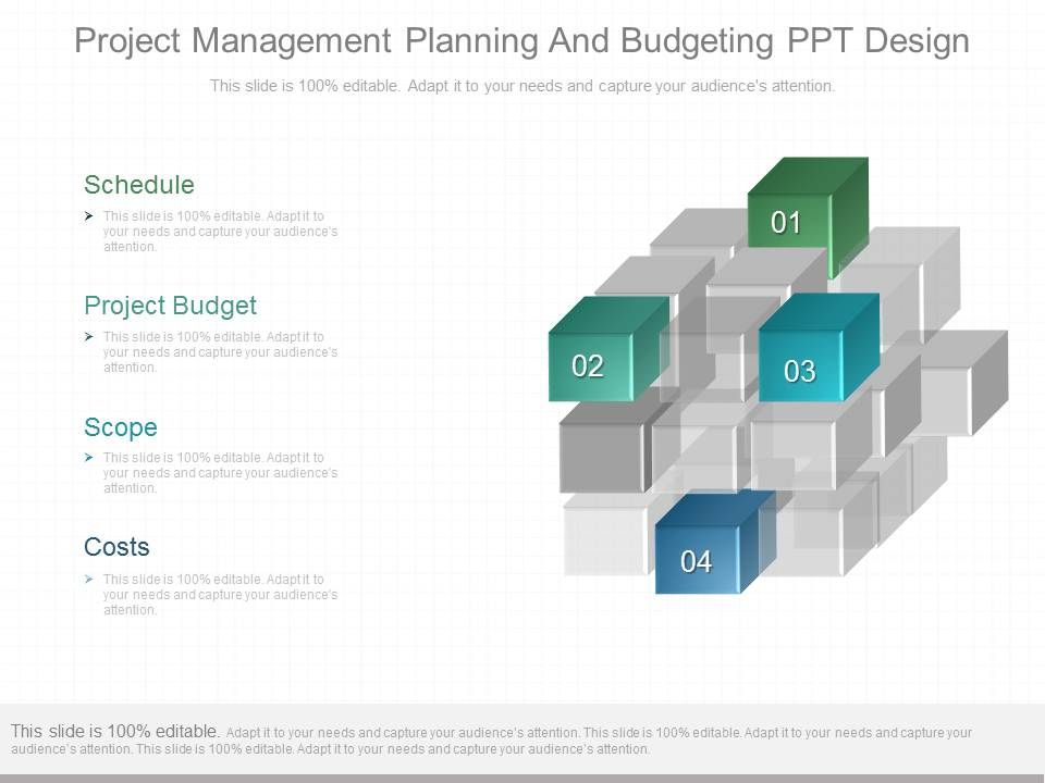Project_Management_Planning_And_Budgeting_Ppt_Design_1.jpg