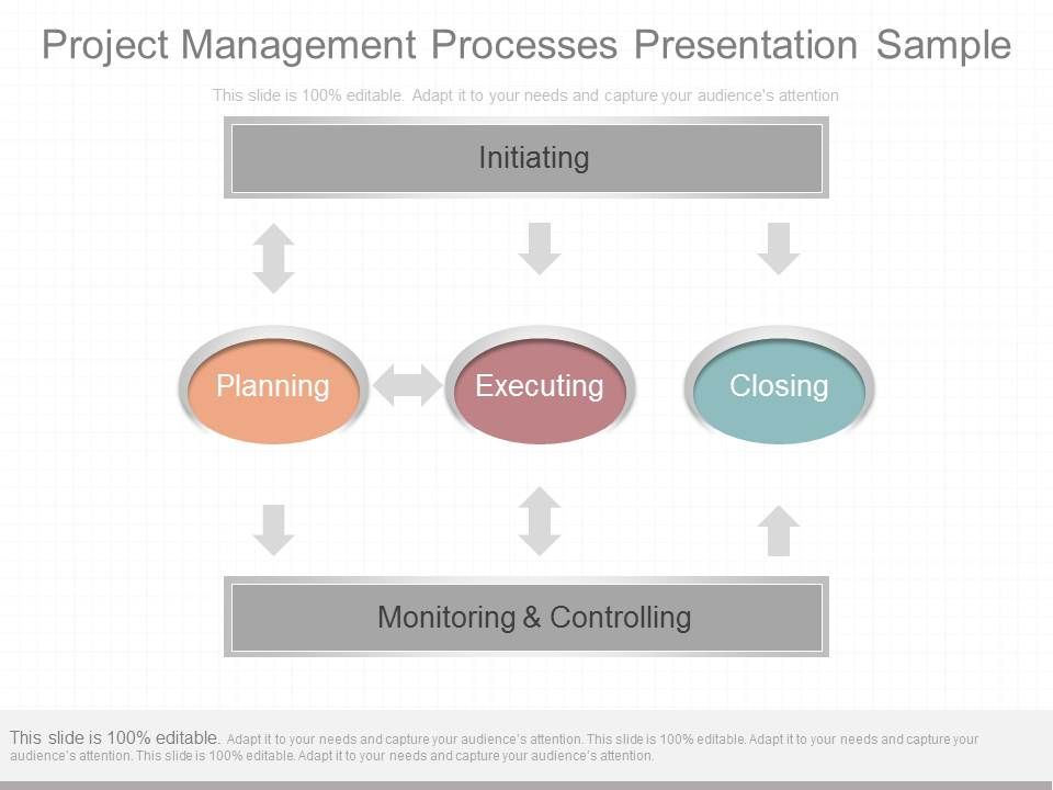 Project_Management_Processes_Presentation_Sample_1.jpg