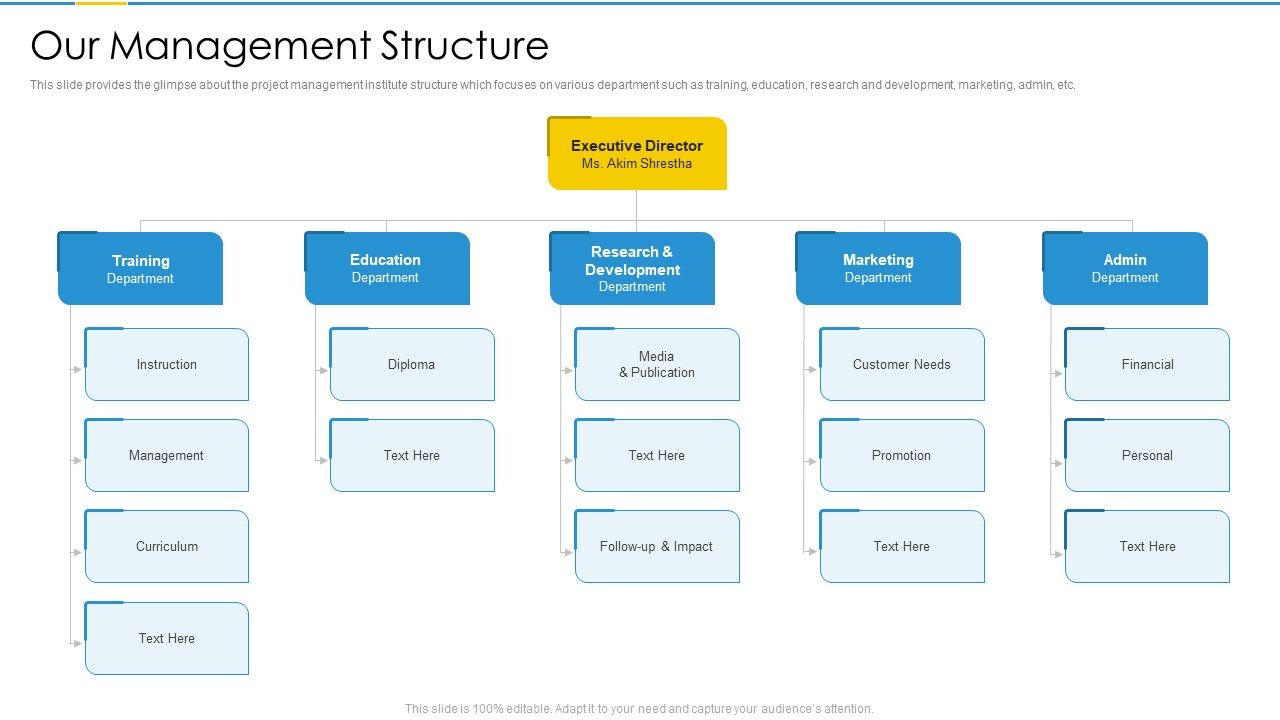 Project_Management_Professional_Certification_Courses_IT_Our_Management_Structure_Themes_PDF_Slide_1.jpg