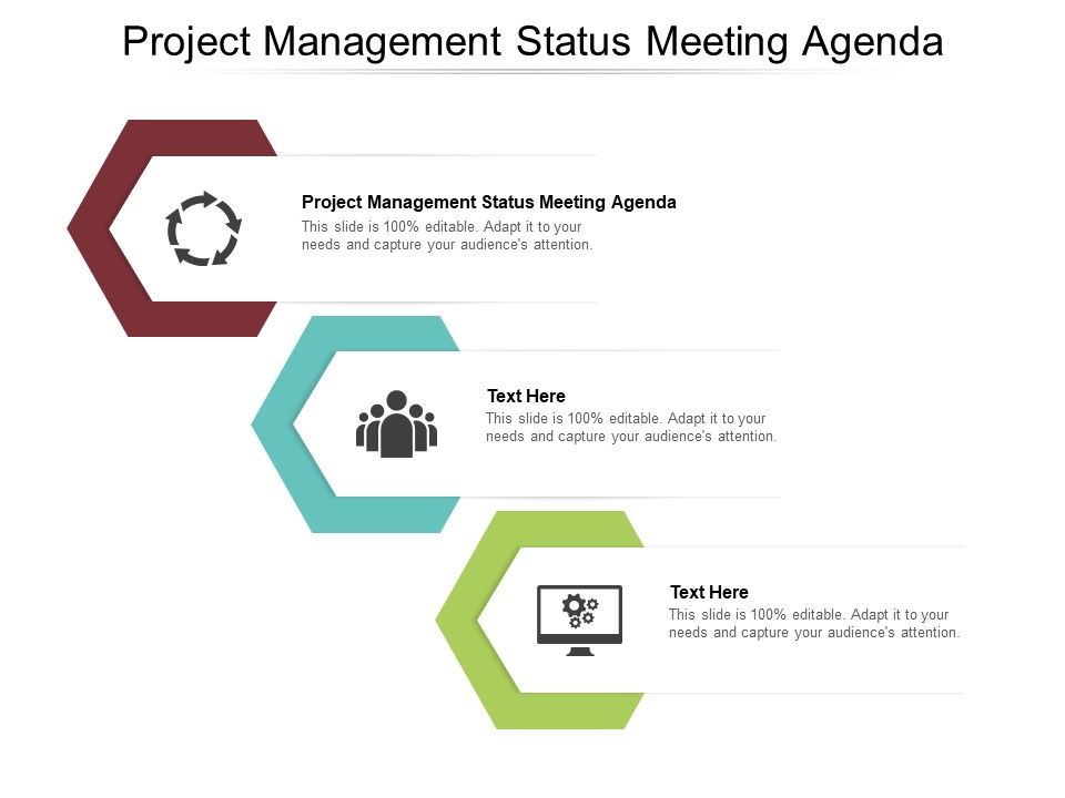 Project_Management_Status_Meeting_Agenda_Ppt_PowerPoint_Presentation_Visual_Aids_Files_Cpb_Pdf_Pdf_Slide_1.jpg