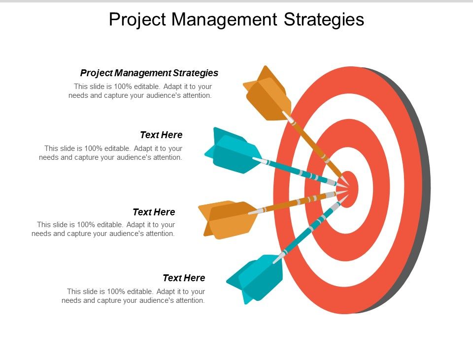 Project_Management_Strategies_Ppt_PowerPoint_Presentation_Professional_Slide_Cpb_Slide_1.jpg