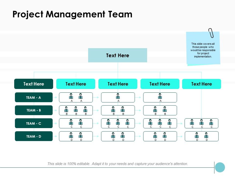 Project_Management_Team_Ppt_PowerPoint_Presentation_Pictures_Gallery_Slide_1.jpg