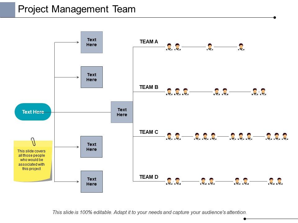 Project_Management_Team_Ppt_PowerPoint_Presentation_Pictures_Show_Slide_1.jpg