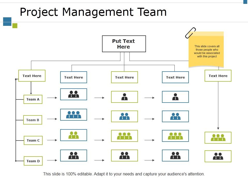 Project_Management_Team_Ppt_PowerPoint_Presentation_Professional_Diagrams_Slide_1.jpg