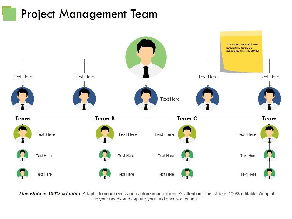 Project_Management_Team_Ppt_PowerPoint_Presentation_Professional_Ideas_Slide_1.jpg