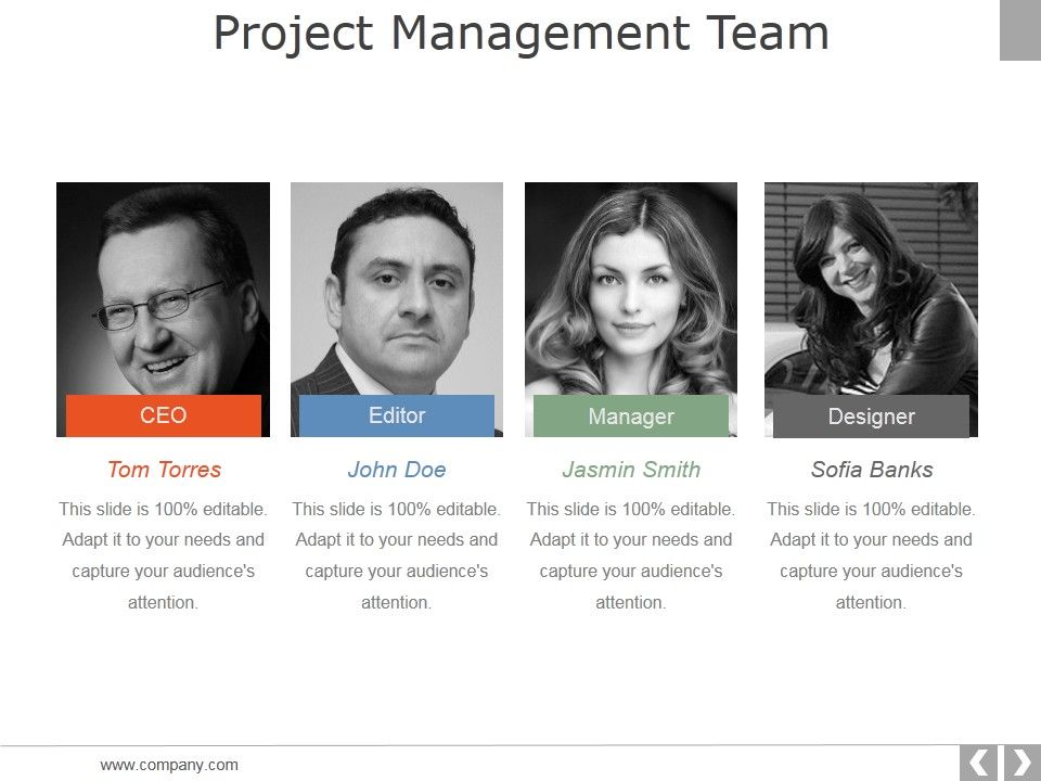 Project_Management_Team_Template_1_Ppt_PowerPoint_Presentation_Slides_Example_Slide_1.jpg