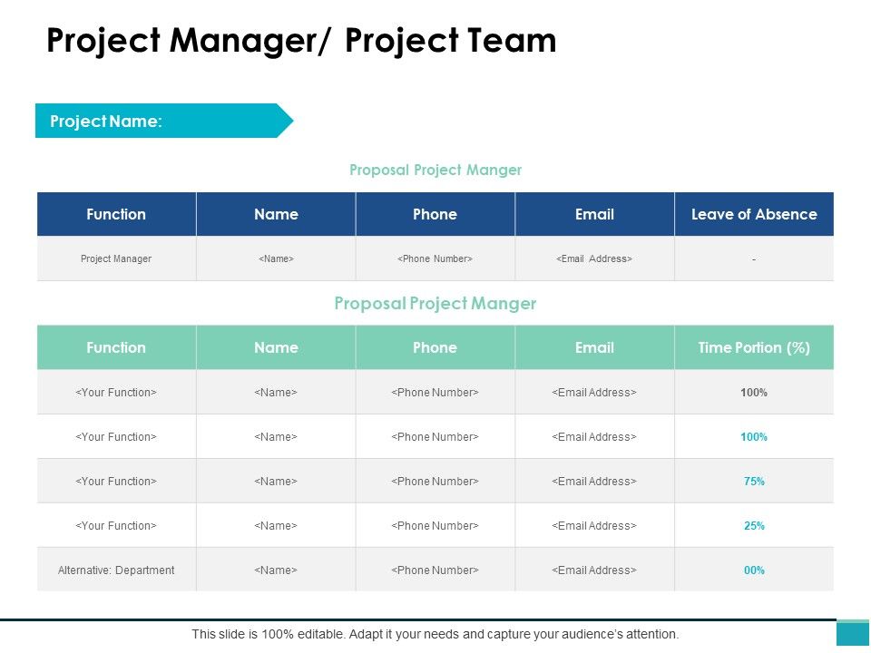 Project_Manager_Project_Team_Ppt_PowerPoint_Presentation_Gallery_Format_Ideas_Slide_1.jpg