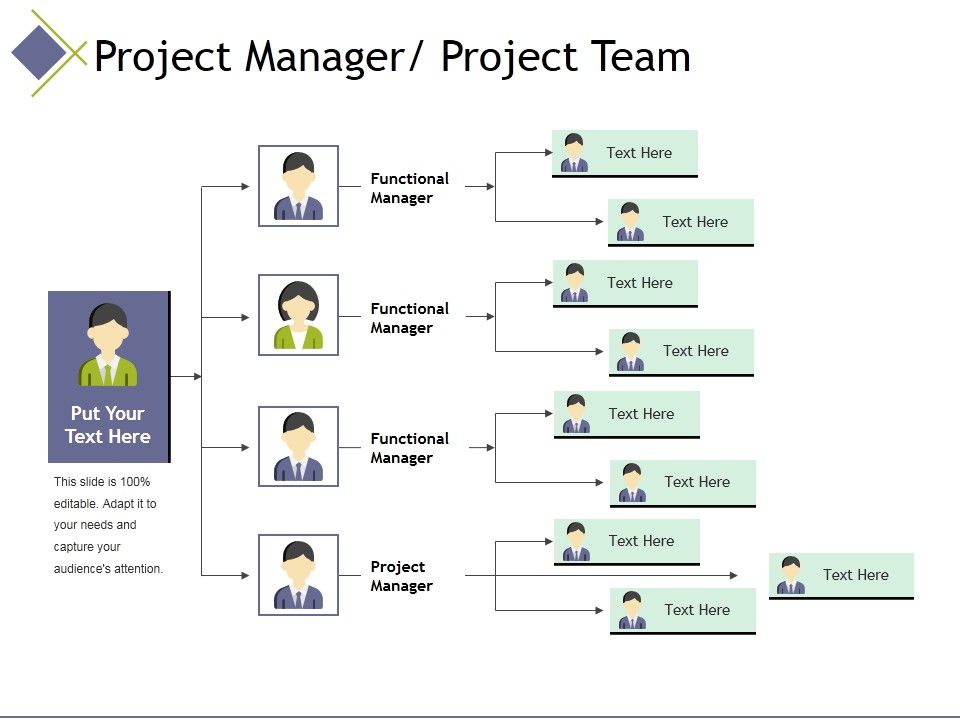Project_Manager_Project_Team_Template_2_Ppt_PowerPoint_Presentation_Styles_Graphic_Tips_Slide_1.jpg