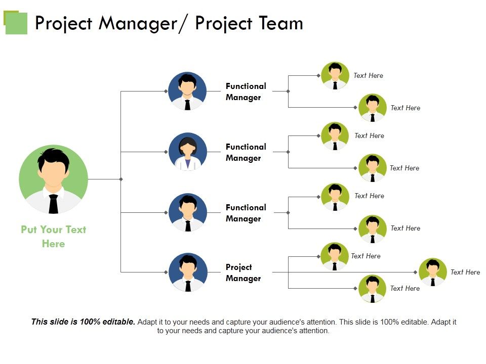 Project_Manager_Project_Team_Template_Ppt_PowerPoint_Presentation_Layouts_Examples_Slide_1.jpg