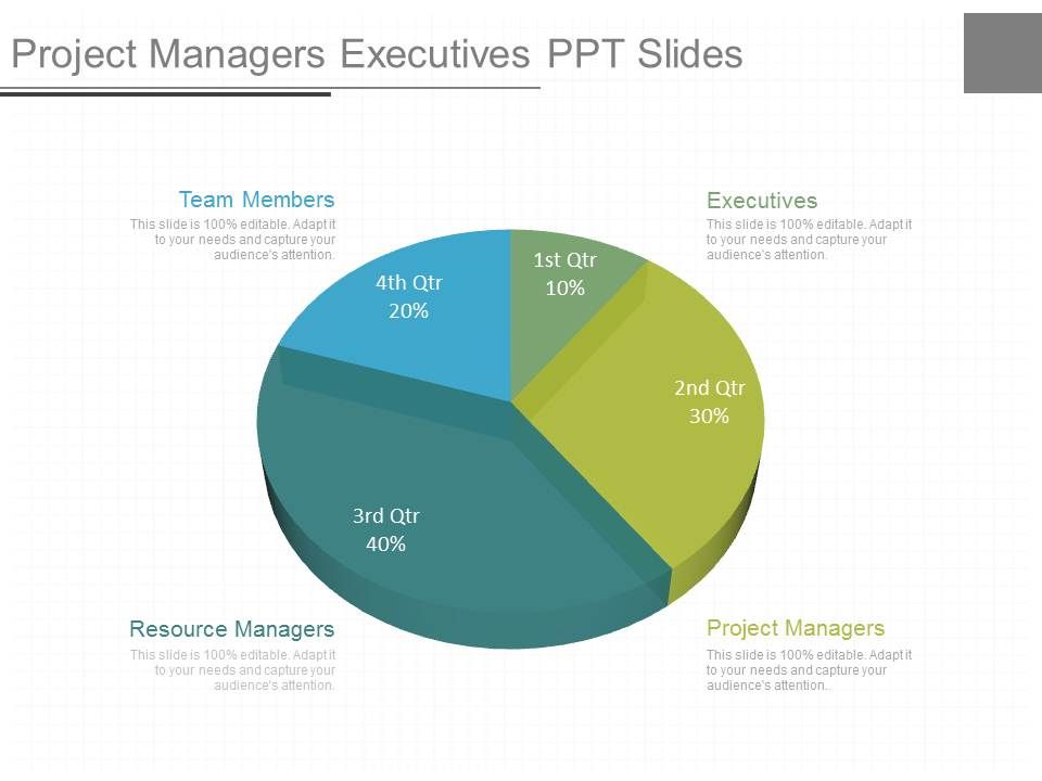 Project_Managers_Executives_Ppt_Slides_1.jpg