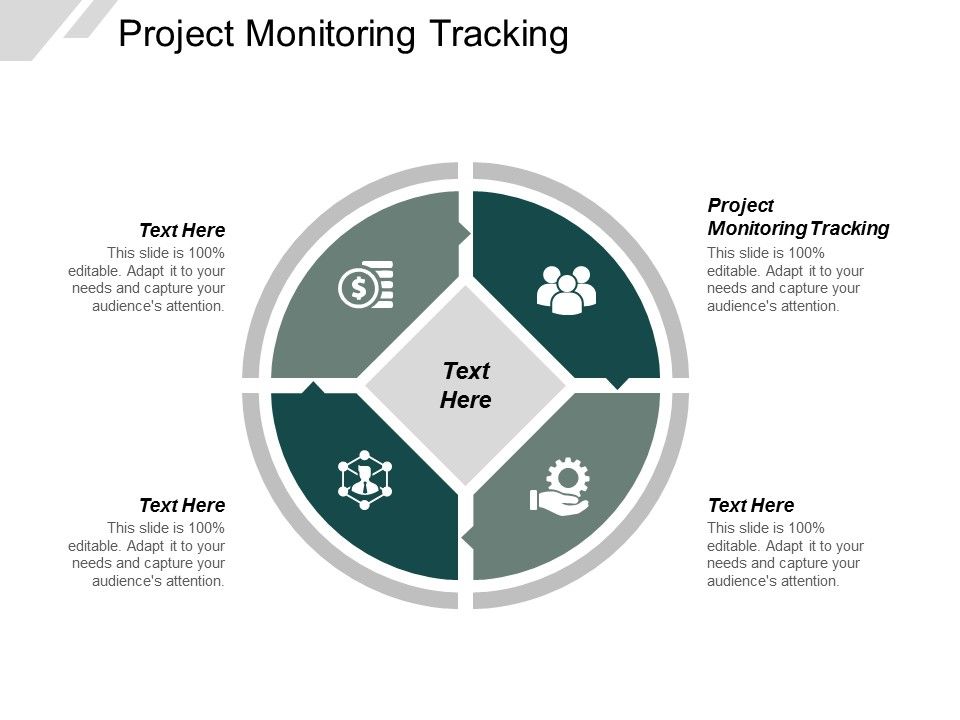 Project_Monitoring_Tracking_Ppt_PowerPoint_Presentation_Outline_Good_Cpb_Slide_1.jpg