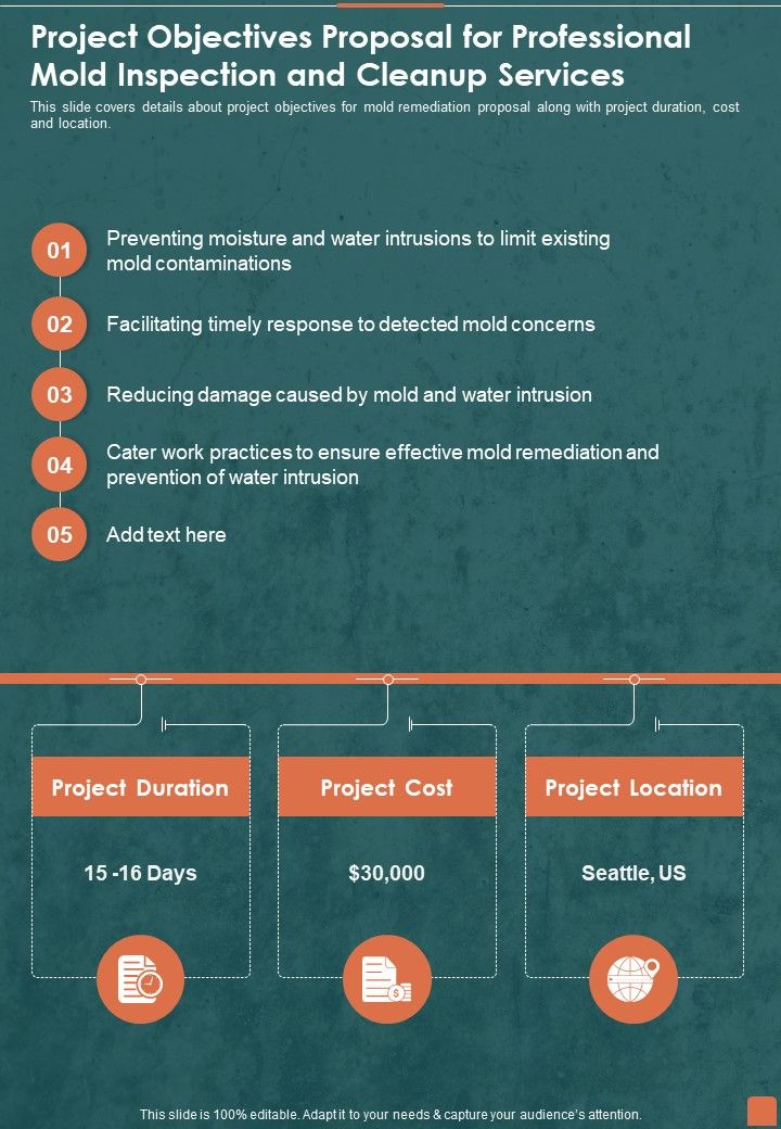 Project Objectives Proposal For Professional Mold Inspection And Cleanup Services One Pager Sample Example Document Slide01
