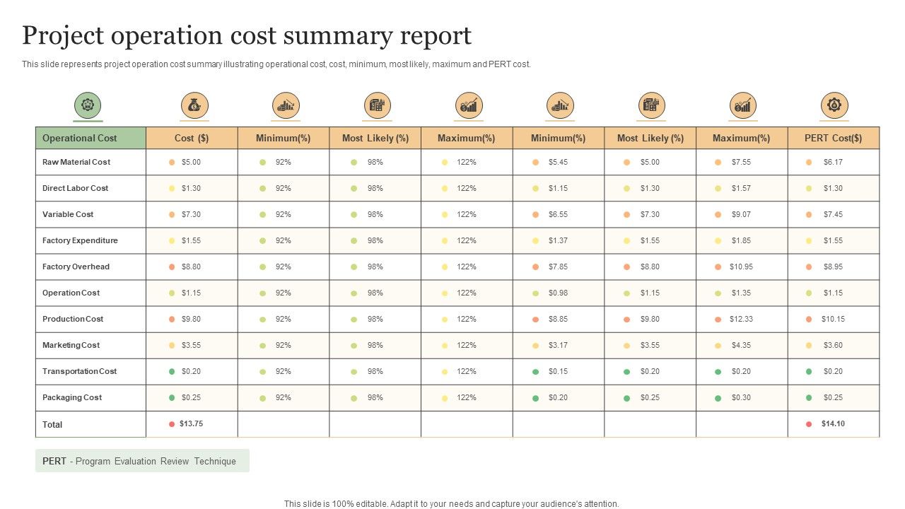 Project_Operation_Cost_Summary_Report_Summary_PDF_Slide_1.jpg