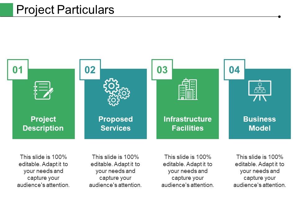 Project_Particulars_Ppt_PowerPoint_Presentation_Styles_Guide_Slide_1.jpg