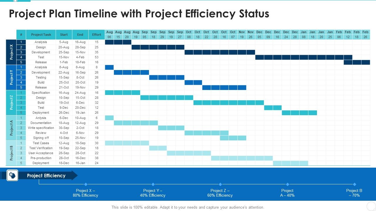 Project_Plan_Timeline_With_Project_Efficiency_Status_Graphics_PDF_Slide_1.jpg