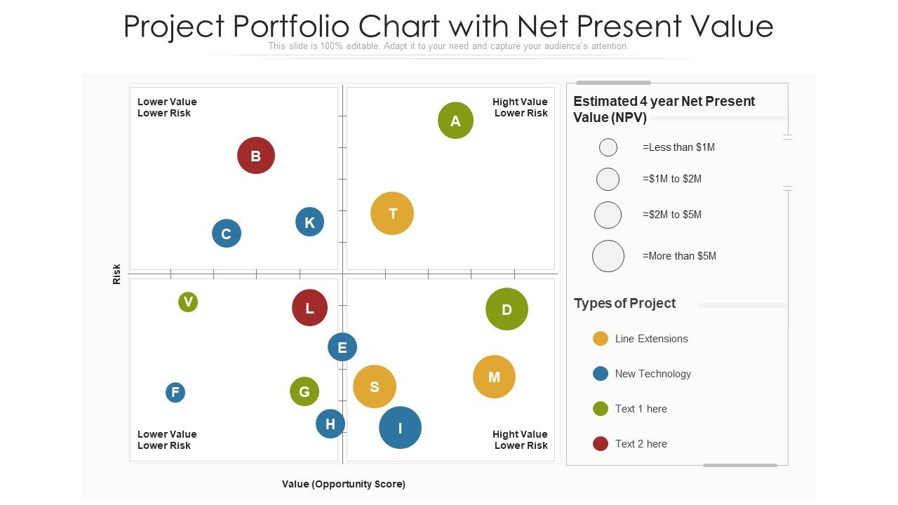 Project_Portfolio_Chart_With_Net_Present_Value_Ppt_Professional_Infographic_Template_PDF_Slide_1.jpg