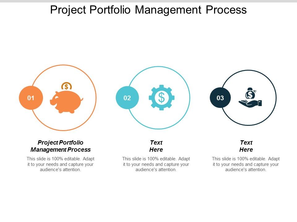 Project_Portfolio_Management_Process_Ppt_PowerPoint_Presentation_Professional_Layouts_Cpb_Slide_1.jpg