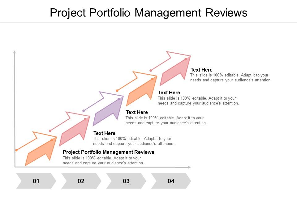 Project_Portfolio_Management_Reviews_Ppt_PowerPoint_Presentation_Visual_Aids_Professional_Cpb_Slide_1.jpg