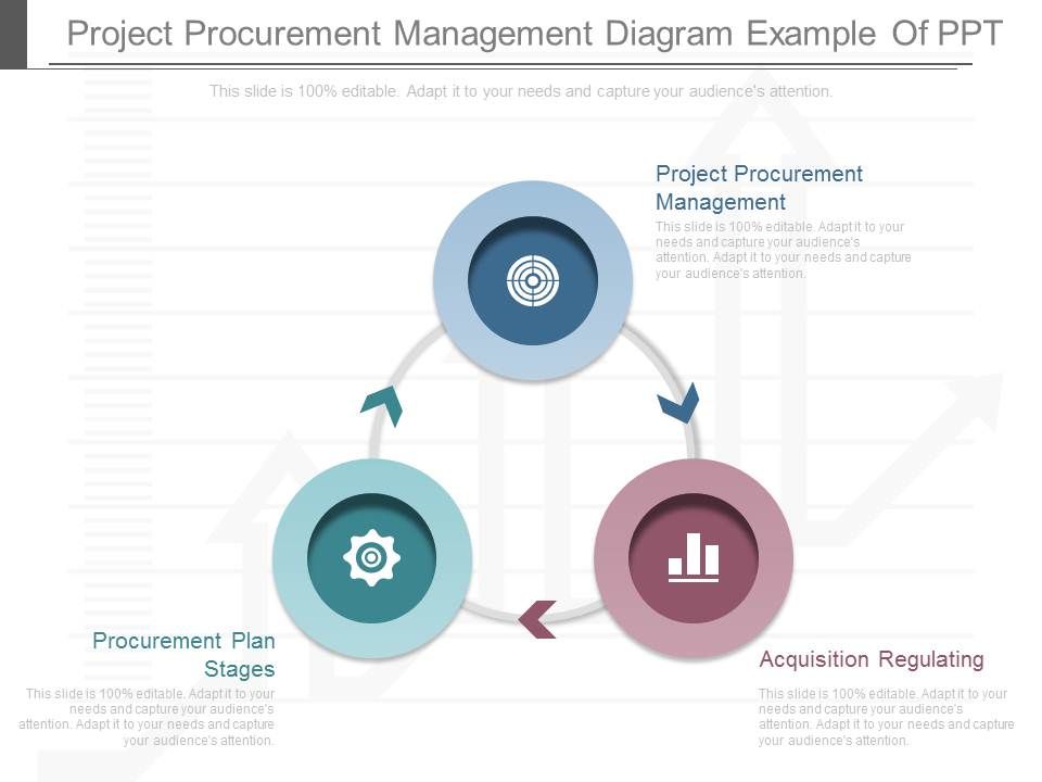 Project_Procurement_Management_Diagram_Example_Of_Ppt_1.jpg