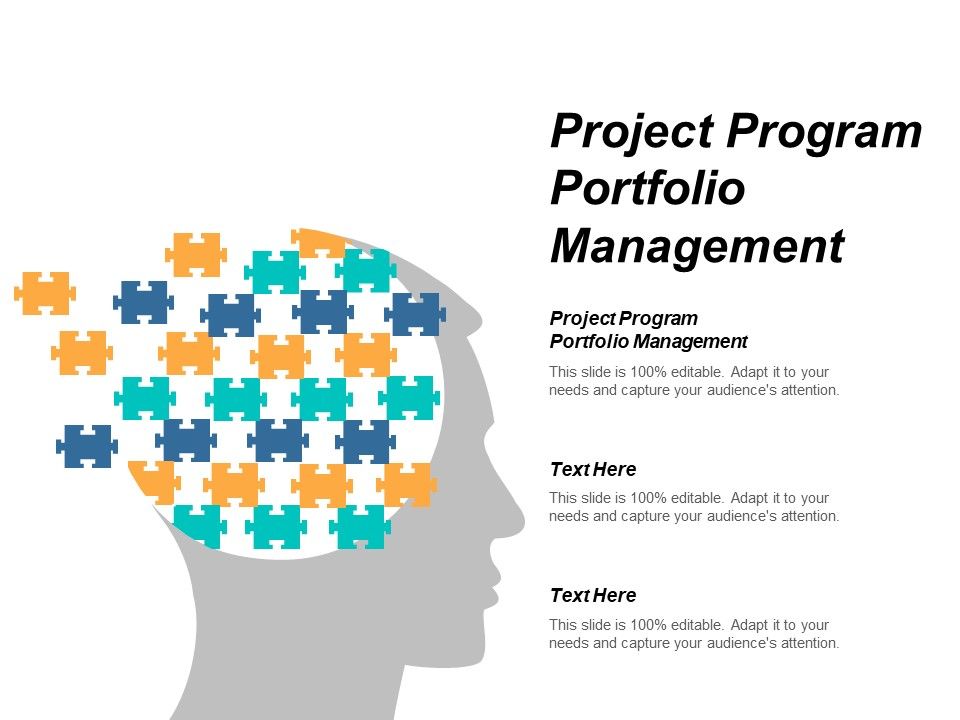 Project_Program_Portfolio_Management_Ppt_PowerPoint_Presentation_Ideas_Smartart_Cpb_Slide_1.jpg