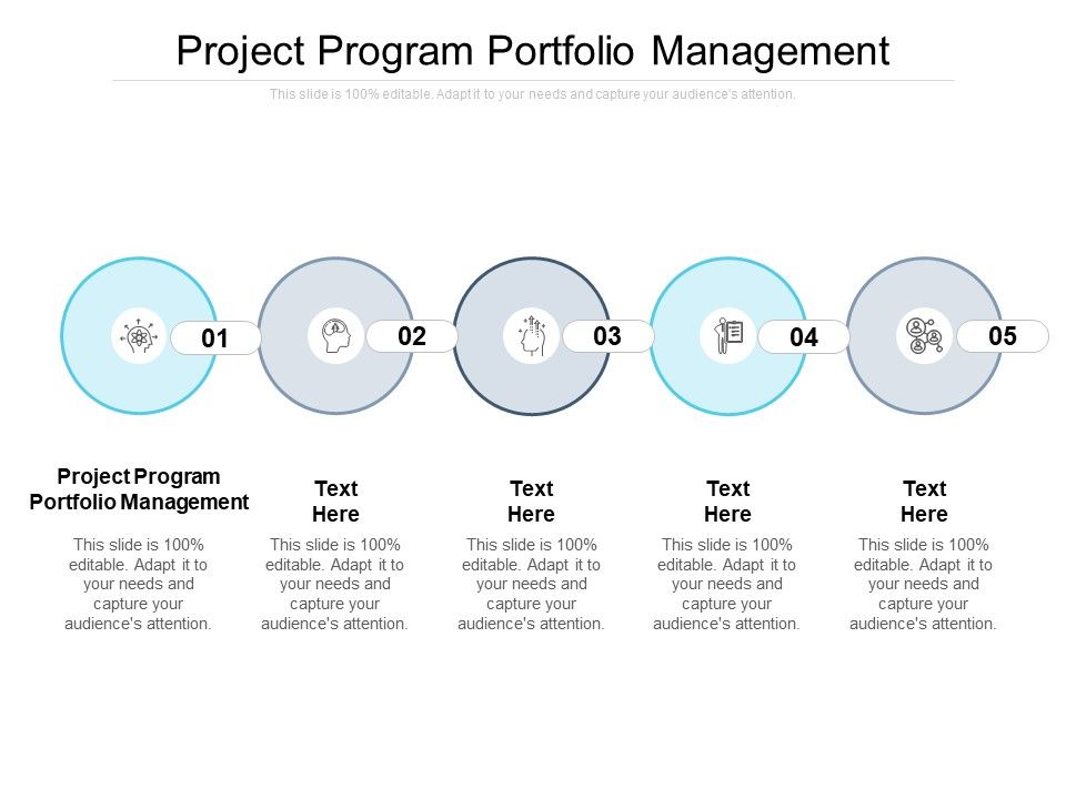 Project_Program_Portfolio_Management_Ppt_PowerPoint_Presentation_Summary_Background_Cpb_Pdf_Slide_1.jpg