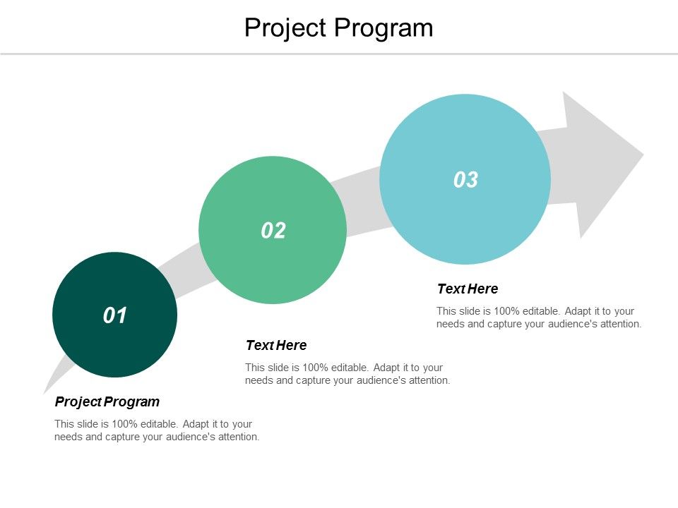 Project_Program_Ppt_PowerPoint_Presentation_Portfolio_Guide_Cpb_Slide_1.jpg