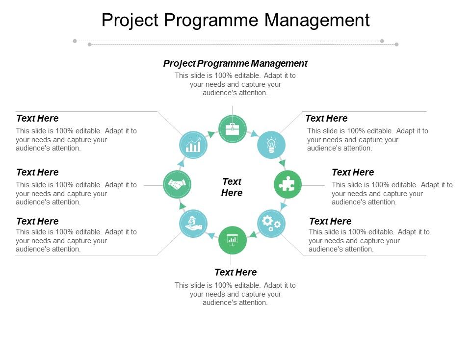 Project_Programme_Management_Ppt_PowerPoint_Presentation_Design_Templates_Cpb_Slide_1.jpg