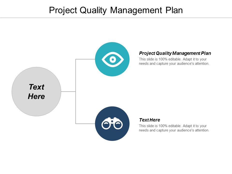 Project_Quality_Management_Plan_Ppt_PowerPoint_Presentation_Styles_Background_Designs_Cpb_Slide_1.jpg