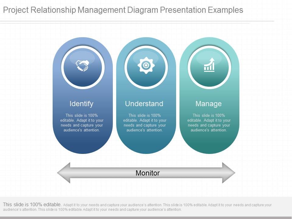 Project_Relationship_Management_Diagram_Presentation_Examples_1.jpg