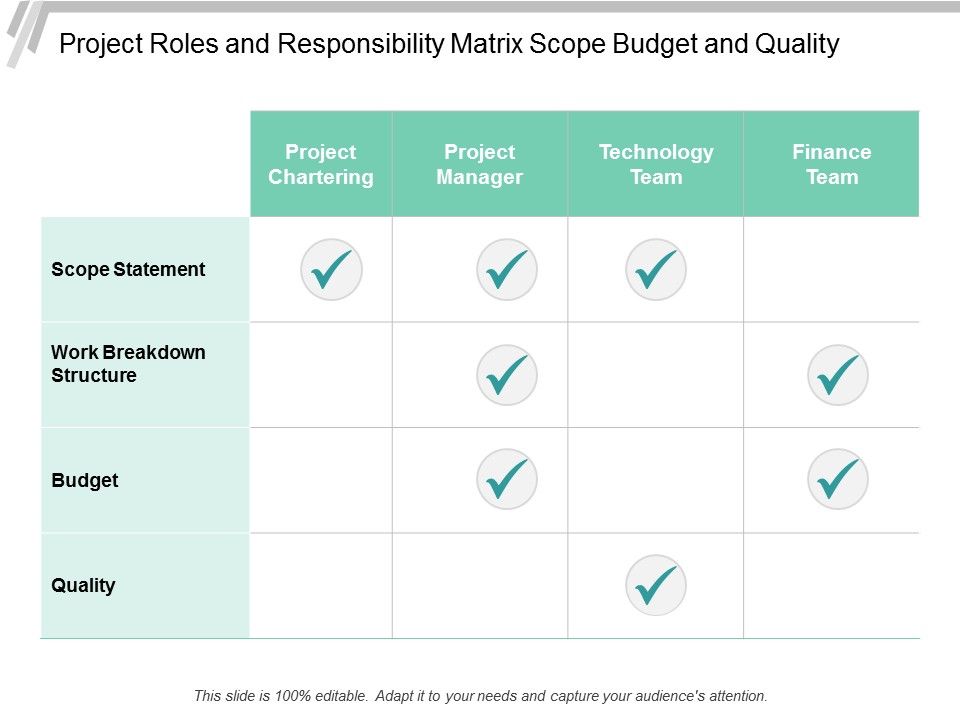 Project_Roles_And_Responsibility_Matrix_Scope_Budget_And_Quality_Ppt_PowerPoint_Presentation_Summary_Structure_Slide_1.jpg