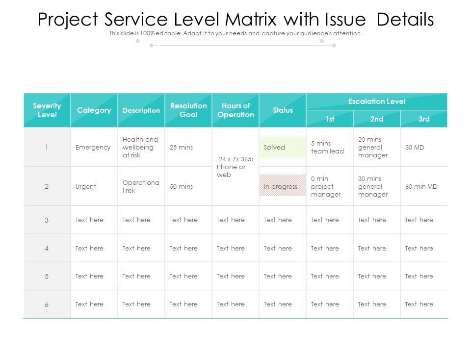 Project_Service_Level_Matrix_With_Issue_Details_Ppt_PowerPoint_Presentation_Gallery_Layouts_PDF_Slide_1.jpg