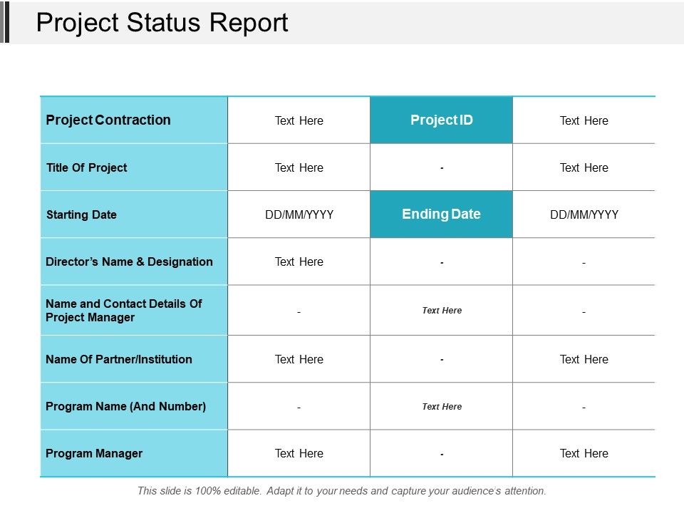 Project_Status_Report_Ppt_PowerPoint_Presentation_Layouts_Visual_Aids_Slide_1.jpg