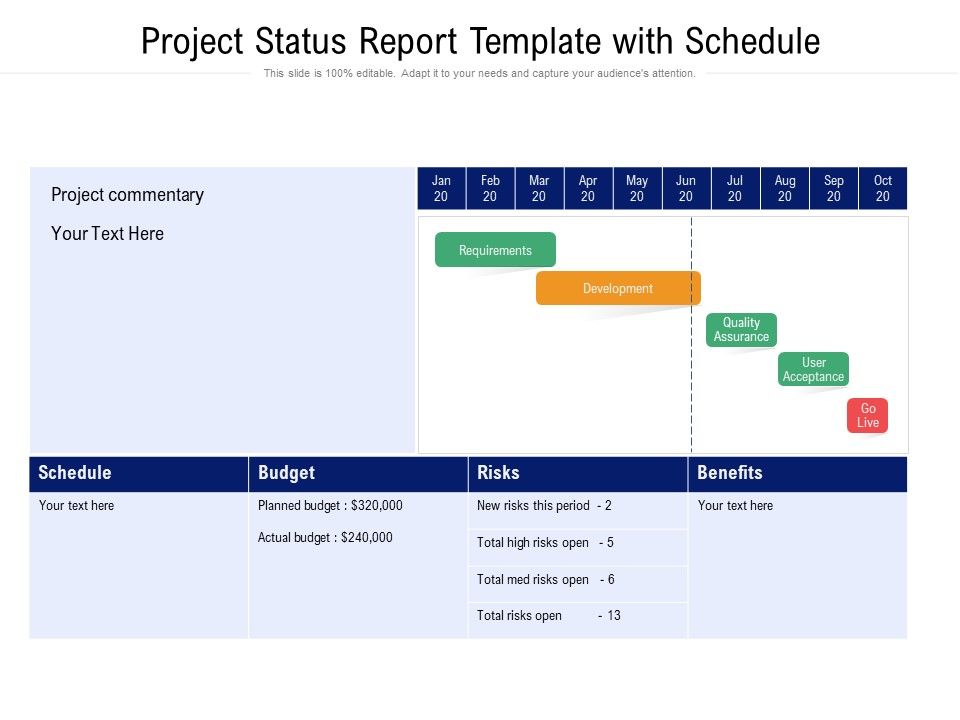 Project_Status_Report_Template_With_Schedule_Ppt_PowerPoint_Presentation_Pictures_Display_PDF_Slide_1.jpg