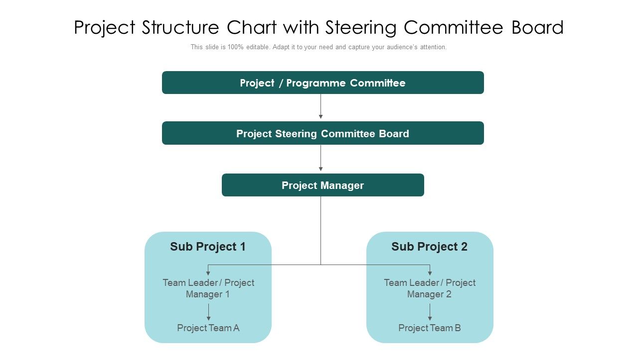 Project_Structure_Chart_With_Steering_Committee_Board_Ppt_PowerPoint_Presentation_File_Examples_PDF_Slide_1.jpg