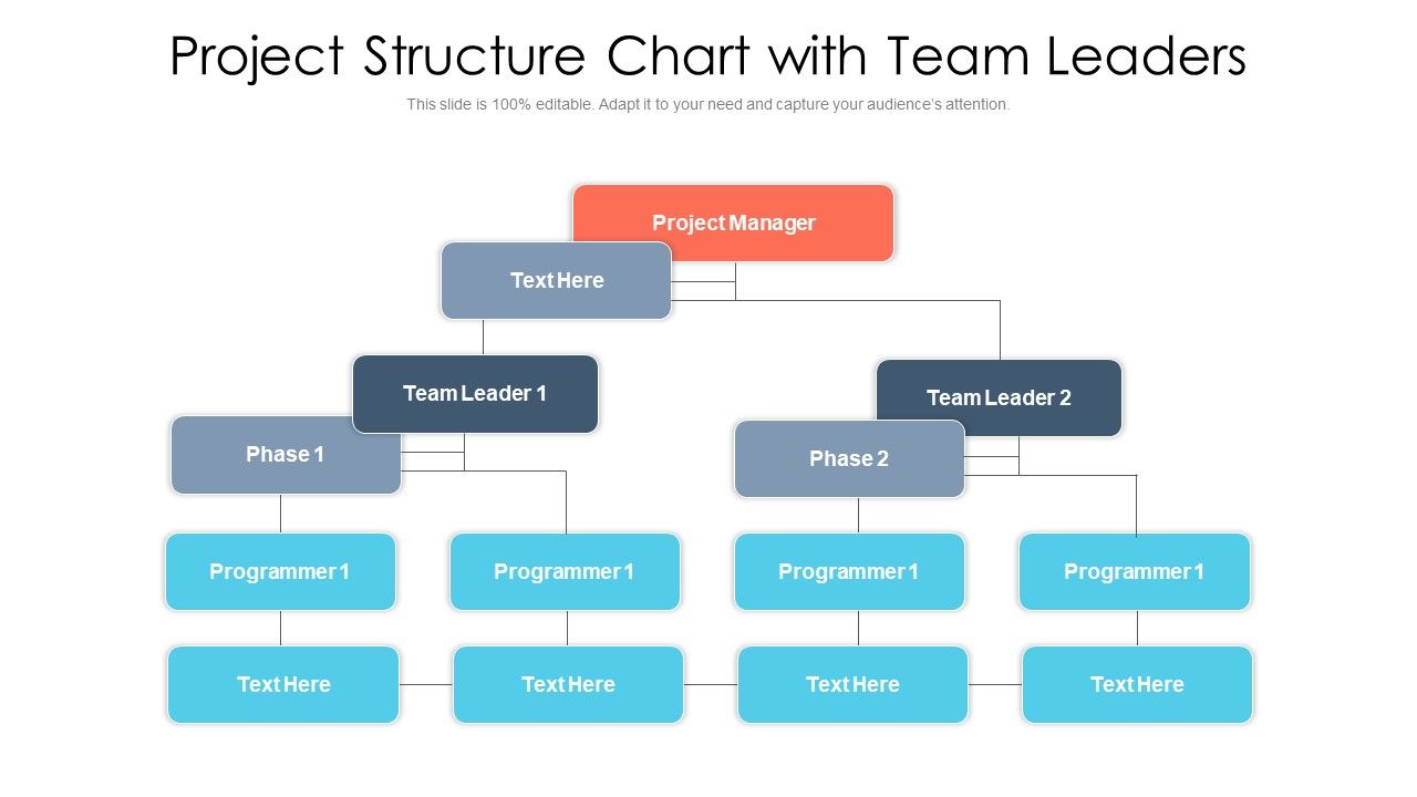 Project_Structure_Chart_With_Team_Leaders_Ppt_PowerPoint_Presentation_Gallery_Visuals_PDF_Slide_1.jpg