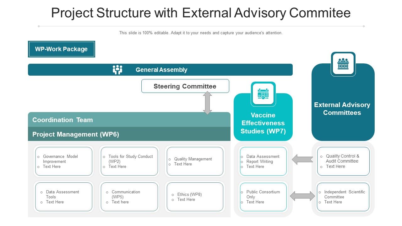 Project_Structure_With_External_Advisory_Commitee_Ppt_PowerPoint_Presentation_File_Slides_PDF_Slide_1.jpg